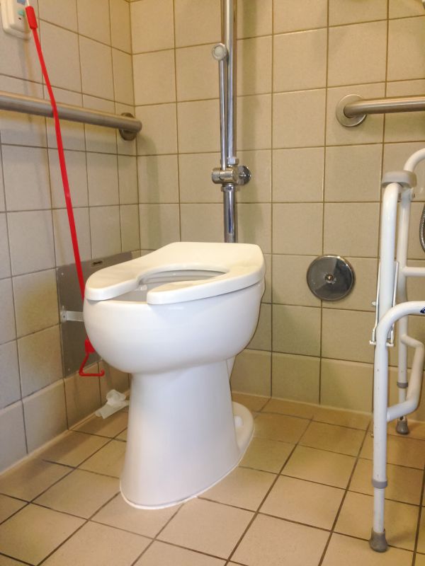 Accessible Toilet Installation in Alpharetta, GA